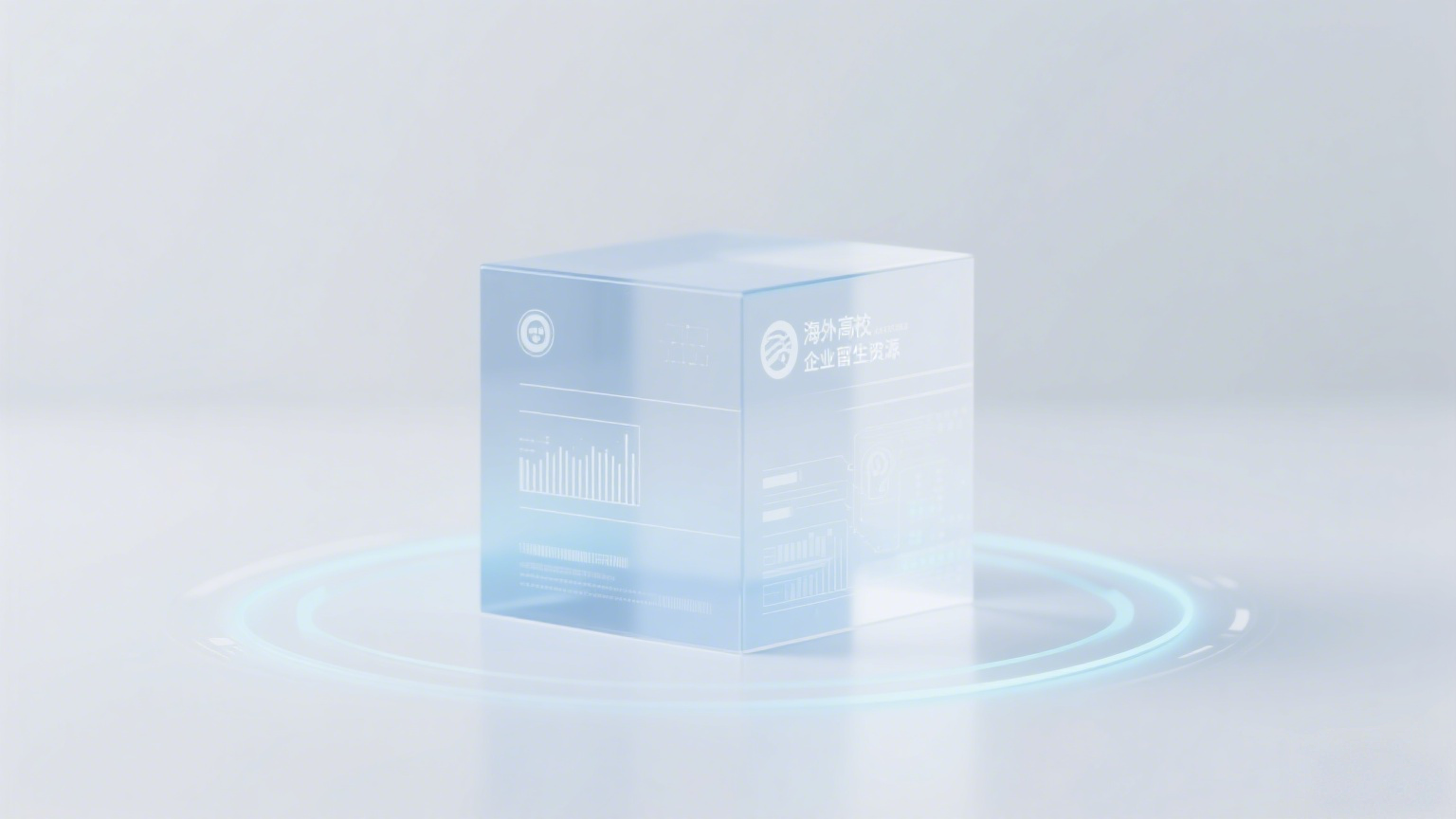 海外资源整合与生态赋能服务